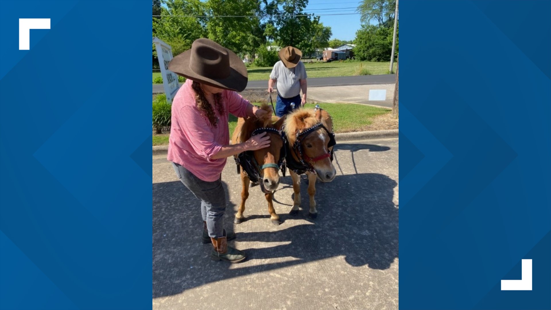 Sallisaw nursing home residents surprised with mini horse parade