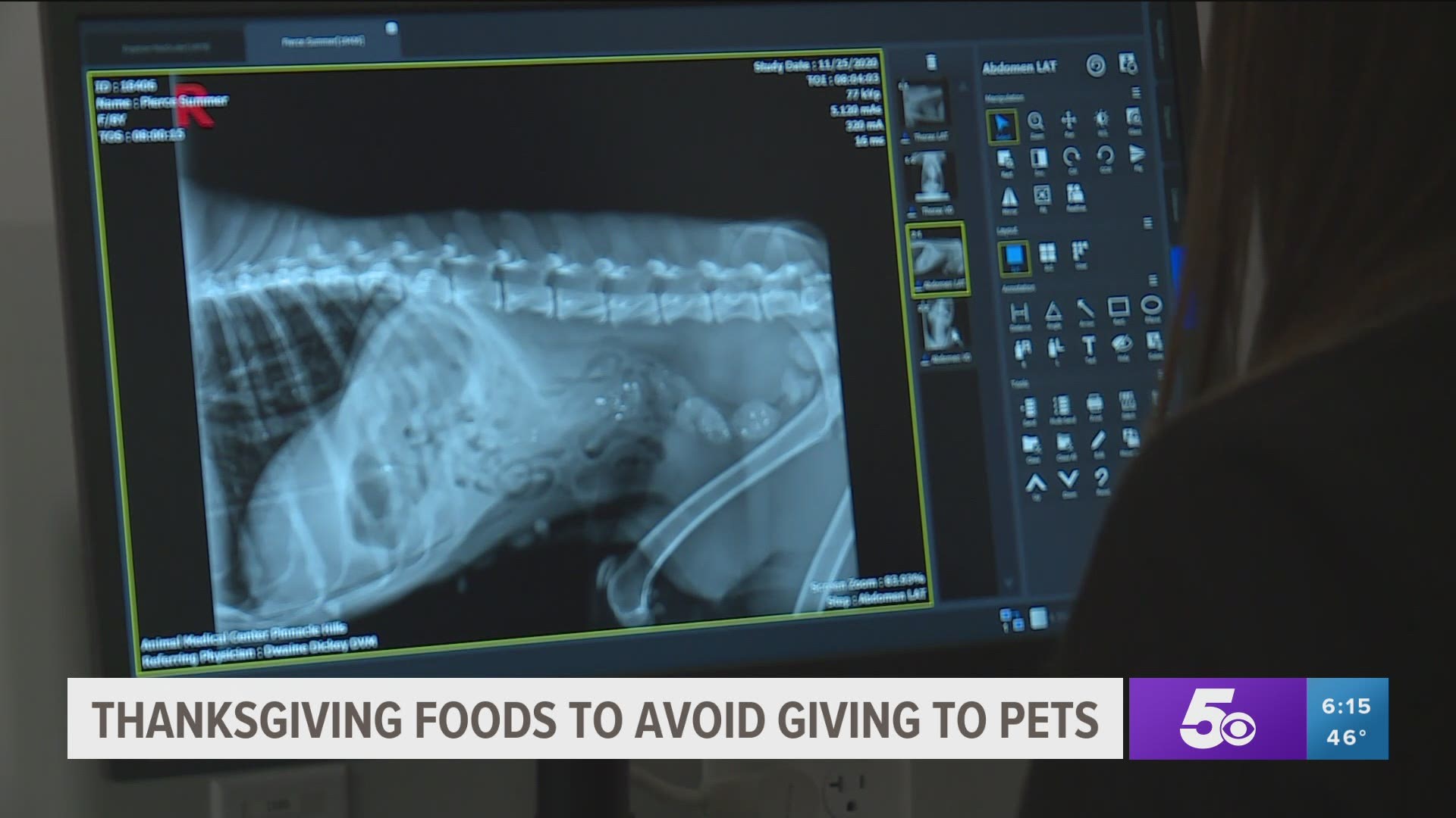 A local vet tells us what foods are safe, and which are not for your furry family members.