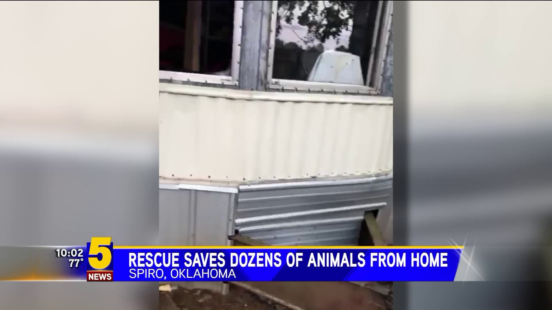 Rescue Saves Dozens of Animals from Home