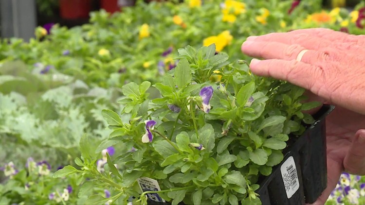 Sharum's Garden Center is heating up for the summer