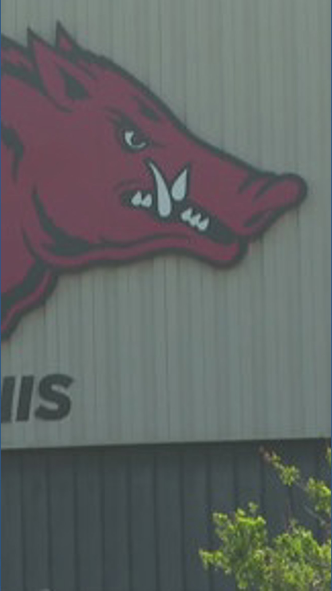 University Razorback Bells Razorback men's tennis team secures NCAA tournament spot as program set ...