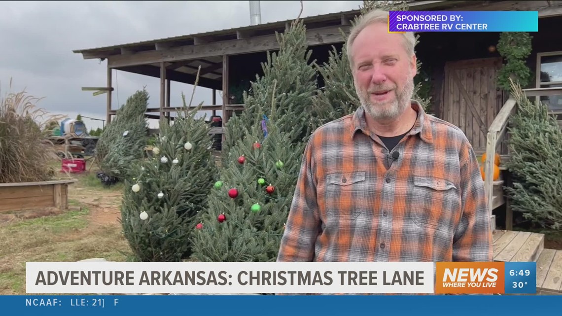 Adventure Arkansas: Christmas Tree Lane