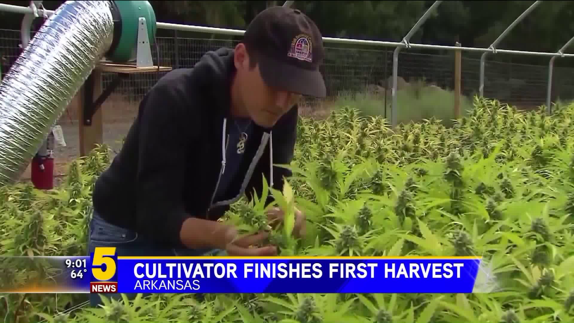Cultivator Finishes First Harvest In Arkansas