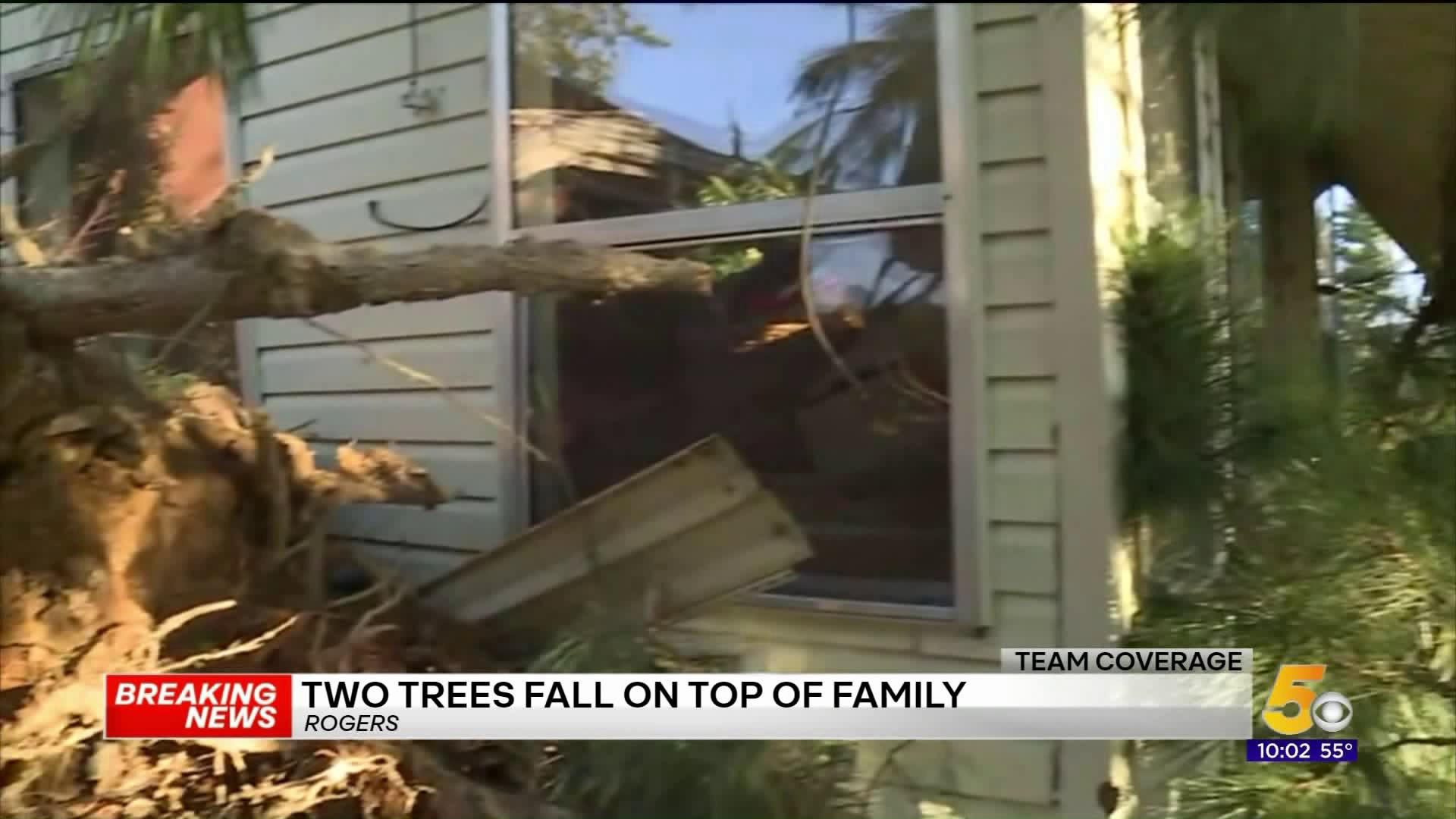 Two Trees Fall On Rogers Home