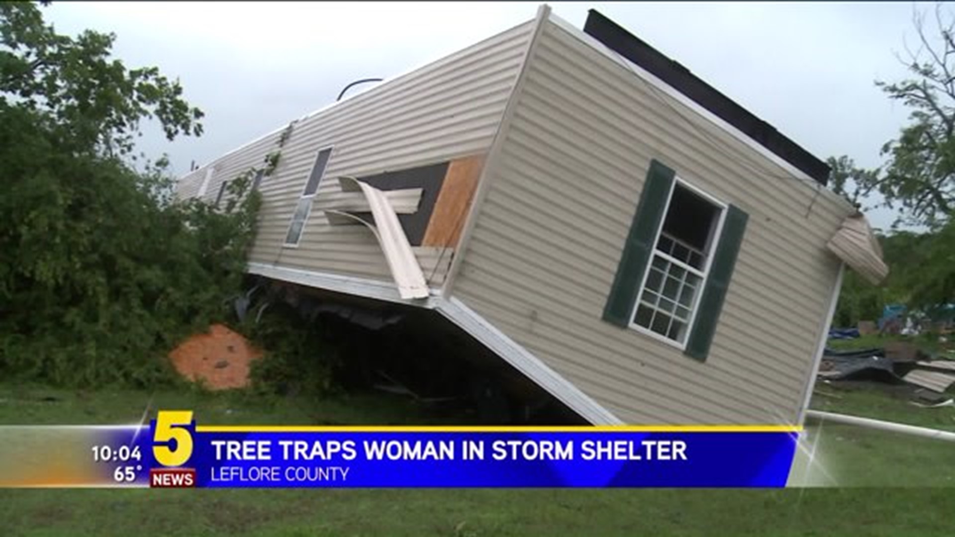 Tree Traps Woman In Storm Shelter