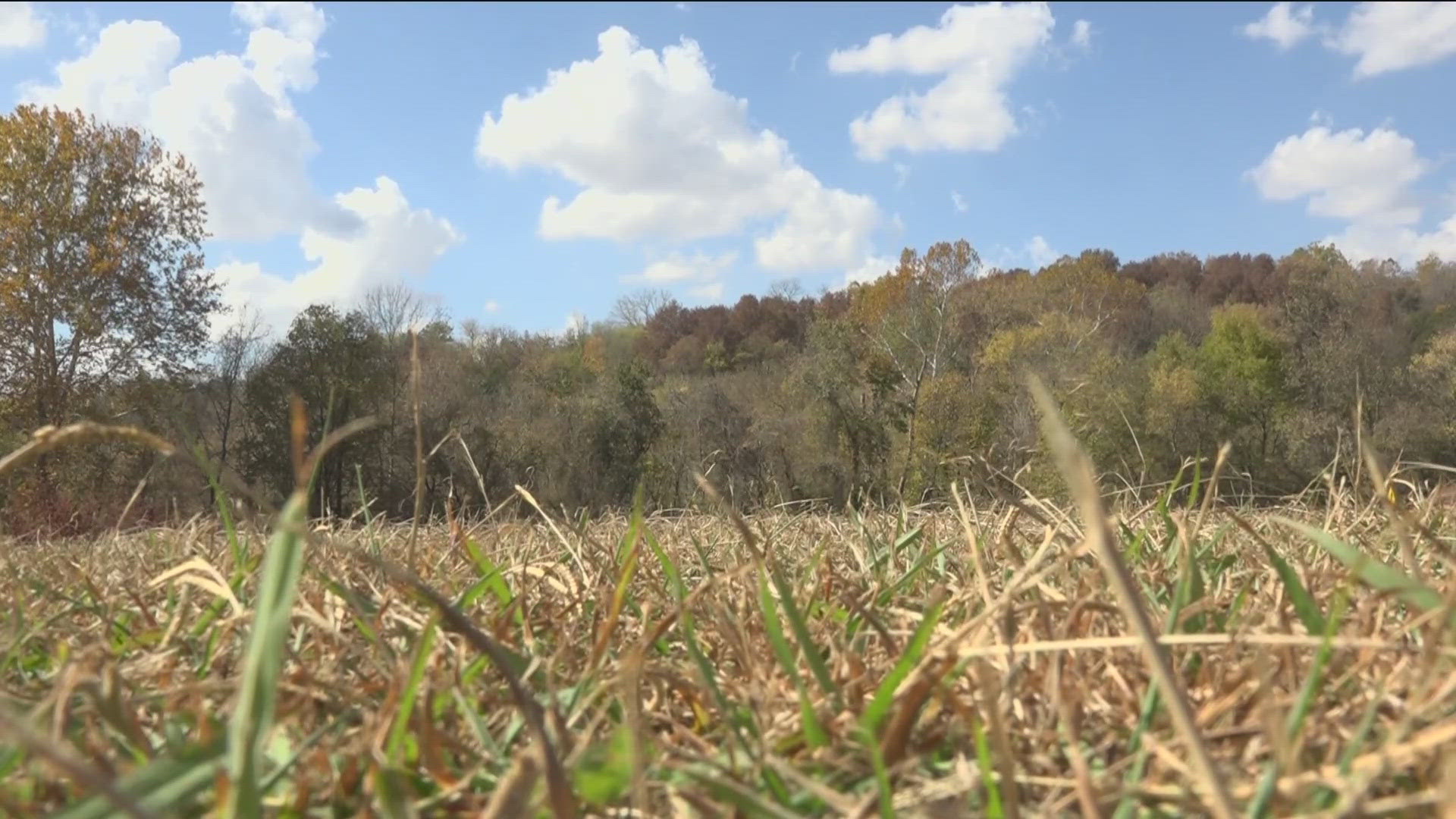 War Eagle Fish Distributors owner Misty Brooks and other small non-farm businesses in 11 Arkansas counties can apply for loans to help offset revenue losses.