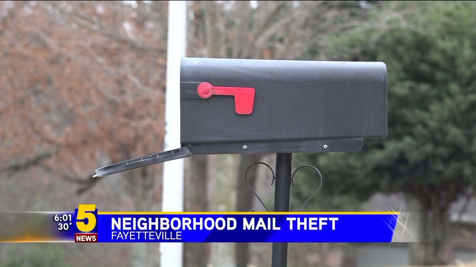 Neighborhood Mail Theft