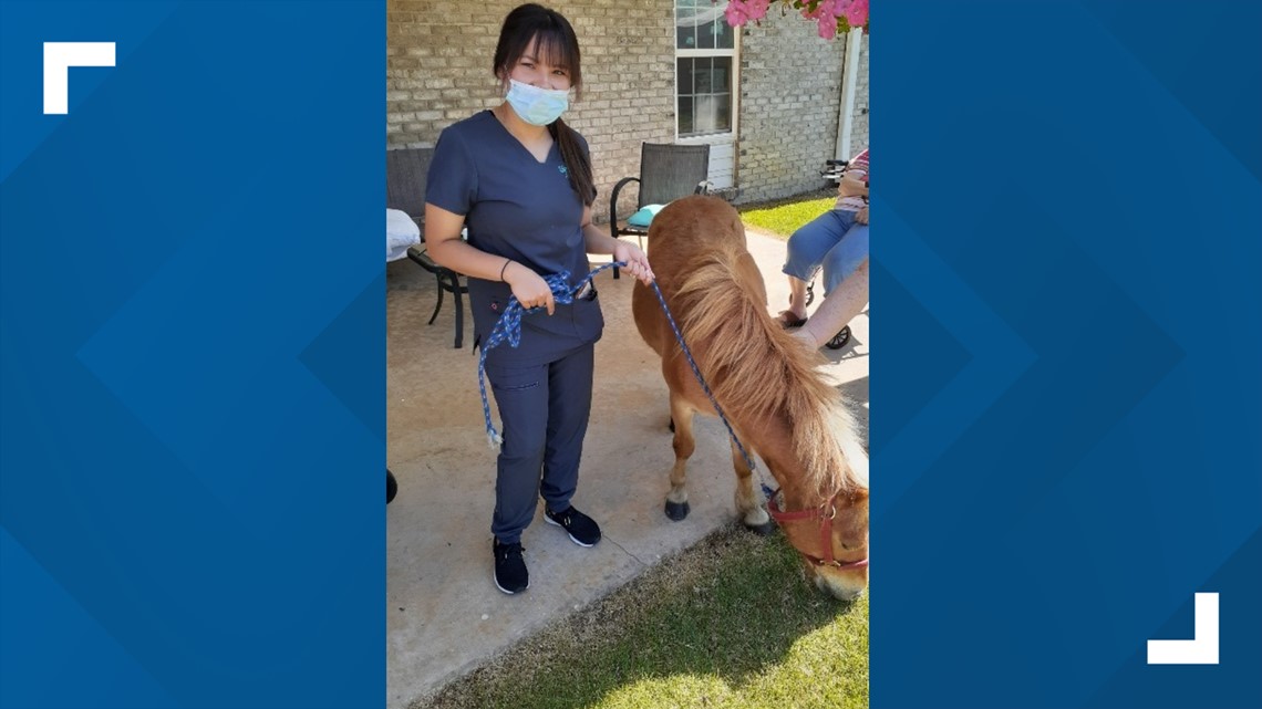 Sallisaw nursing home residents surprised with mini horse parade