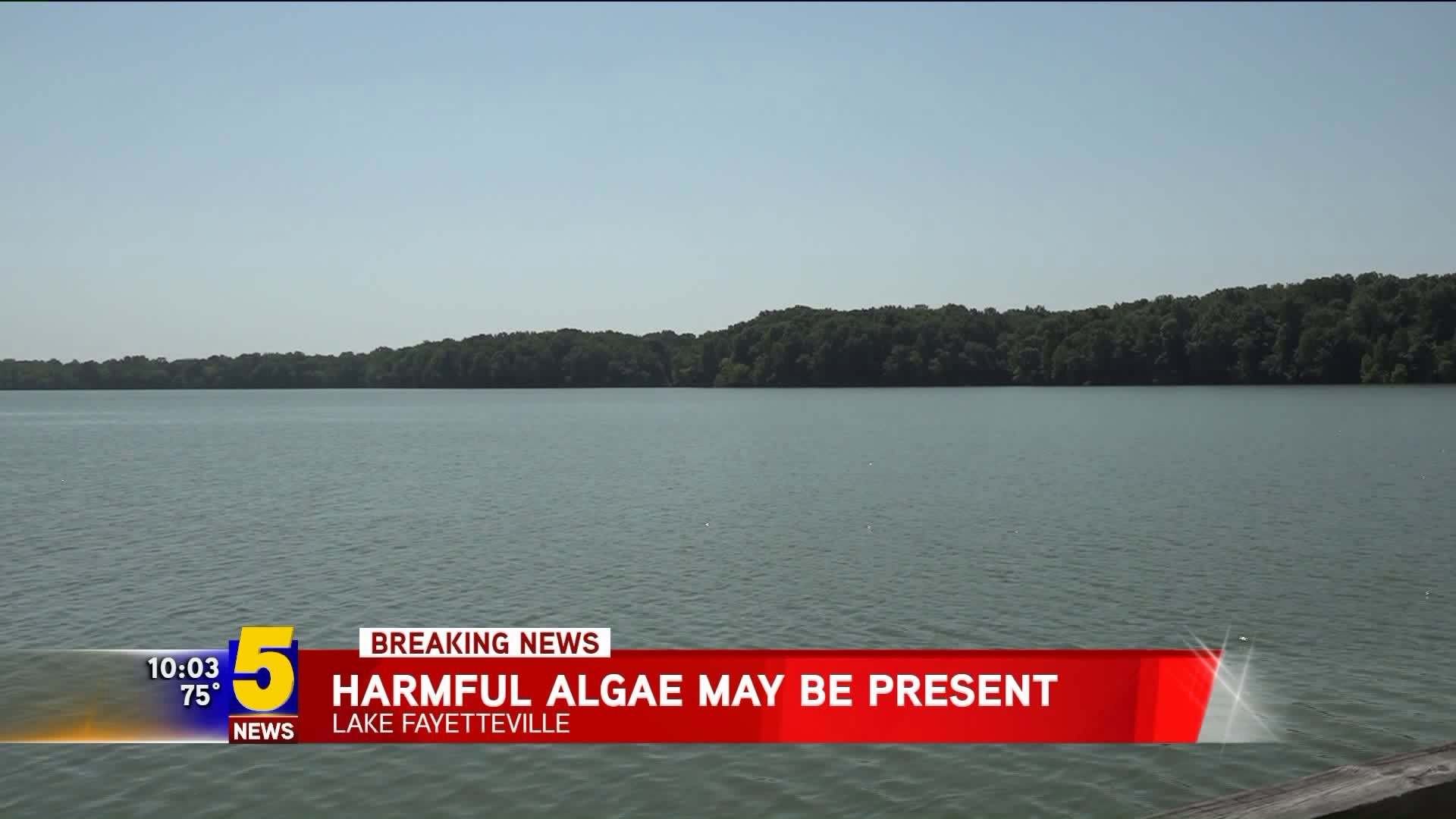 Harmful Algae May Be Present at Lake Fayetteville