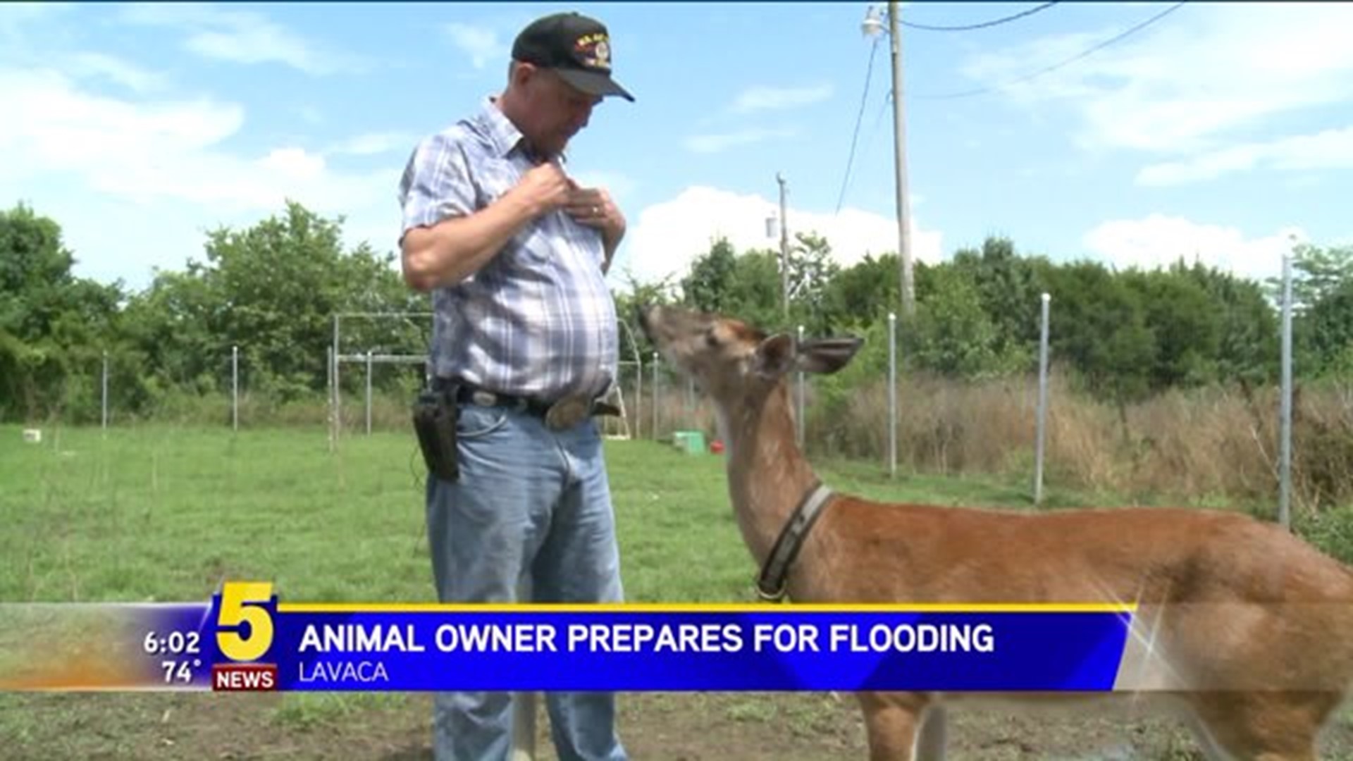 Wild Animal Rescuer Prepares For Potential Flooding In Lavaca