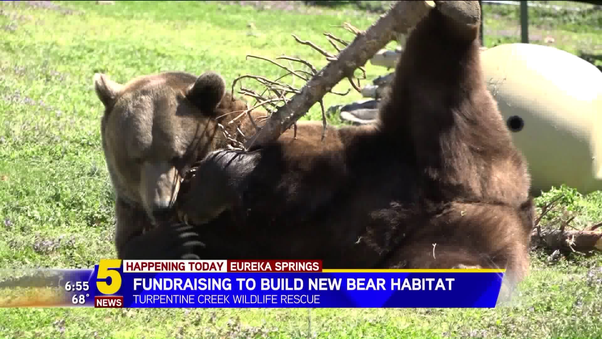 Turpentine Creek Fundraising For New Habitat On National Bear Day