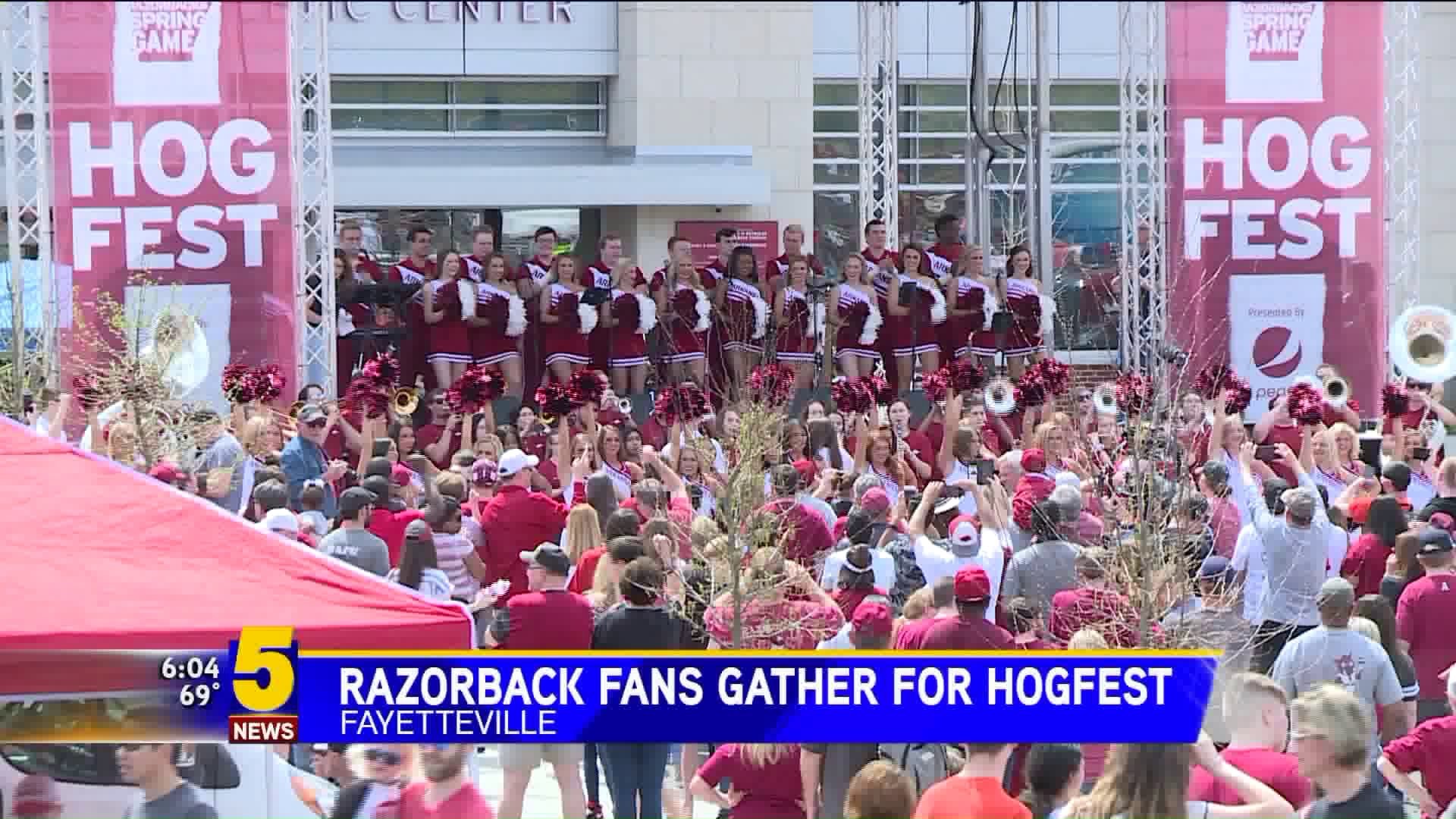 Razorback Fans Gather For Hogfest