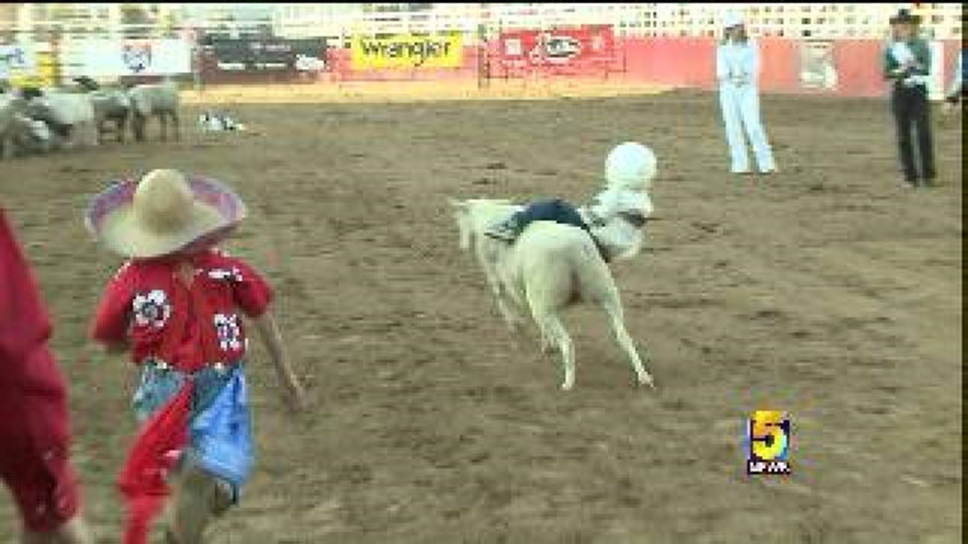 Rodeo of the Ozarks Kicks Off Day One