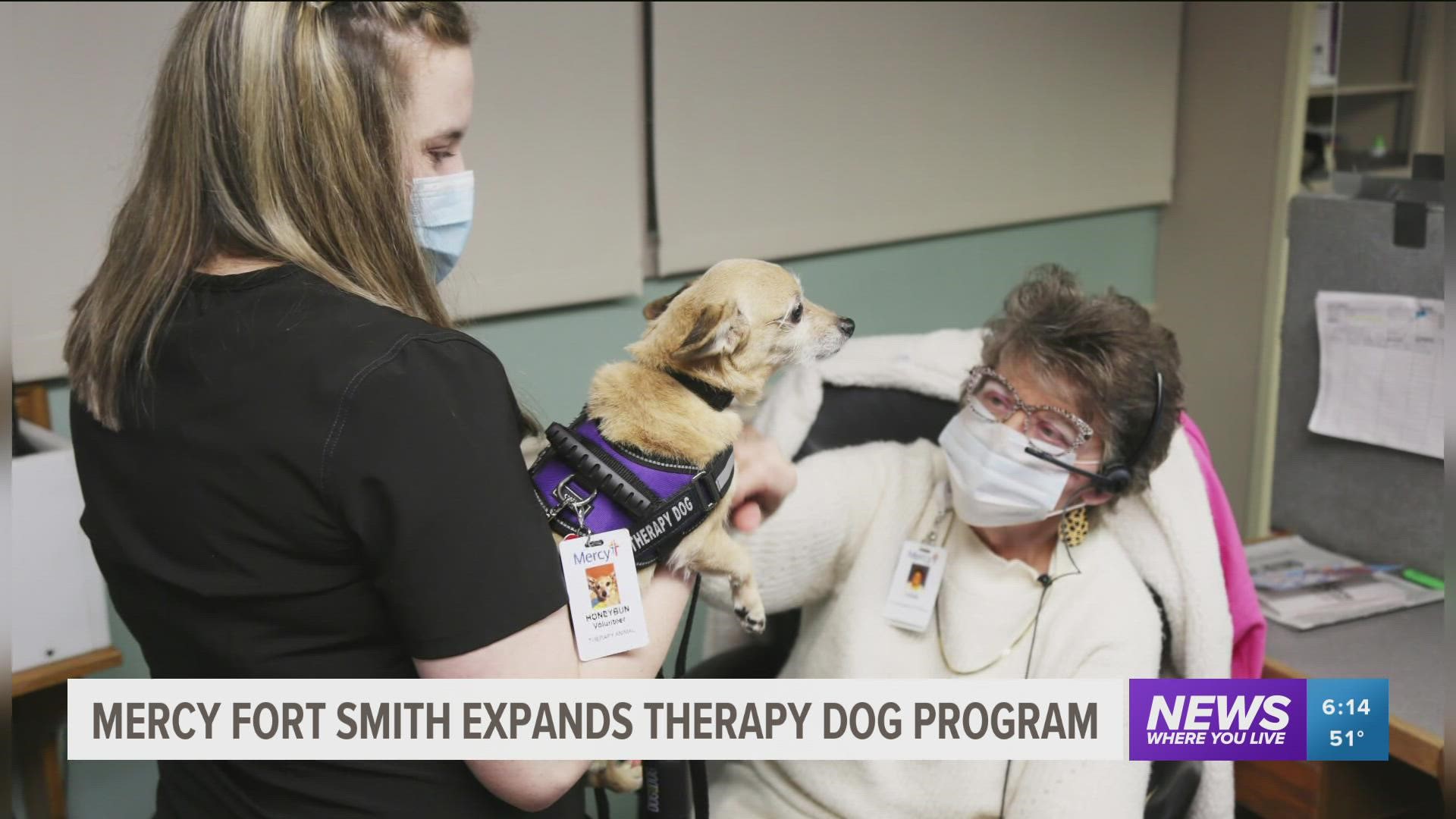 Mercy Hospital-Fort Smith has welcomed three new therapy dogs that will work alongside Baxter, their first volunteer, in visiting patients, staff and families.