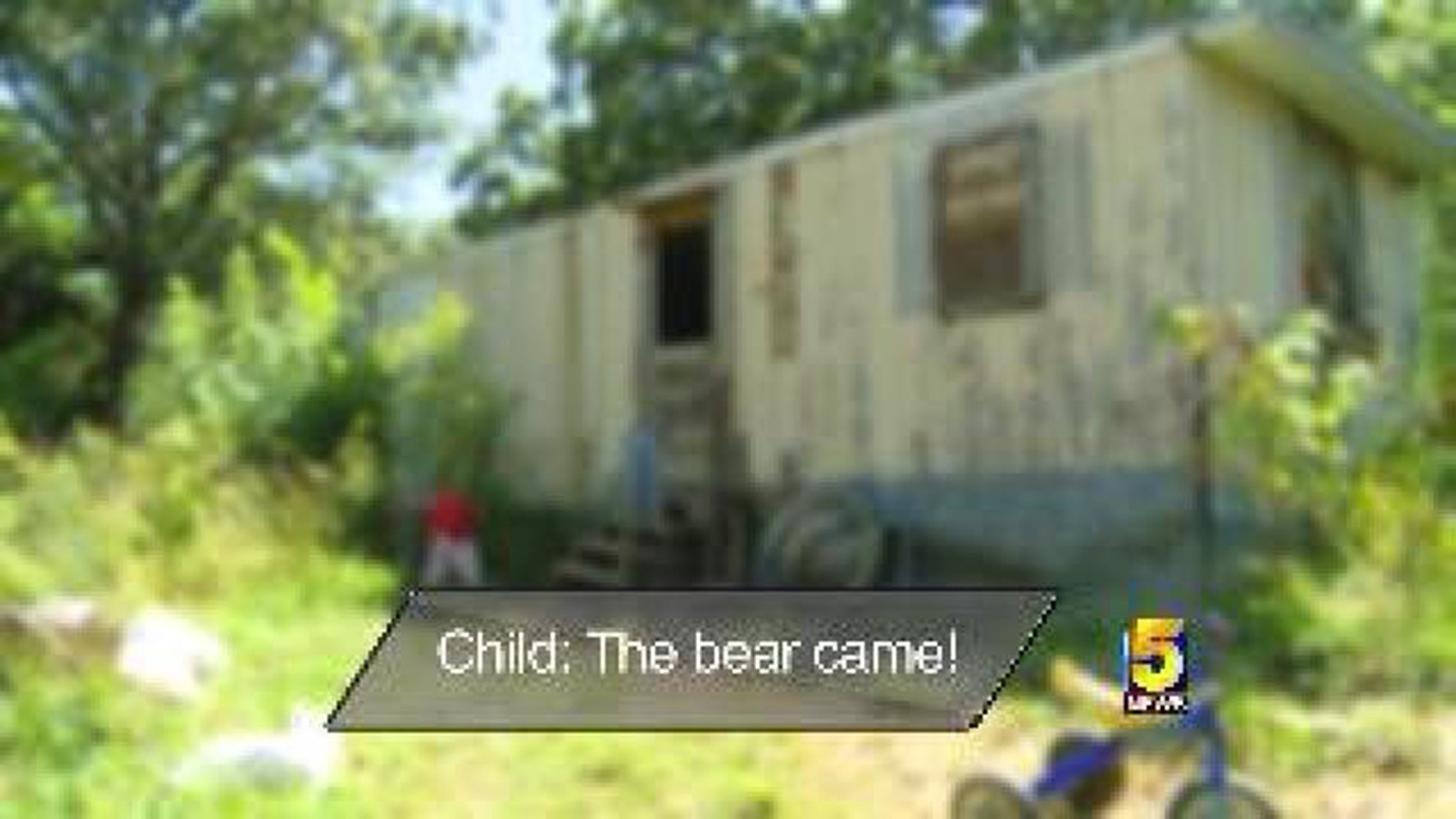 911 Call: Alleged Bear Attack In Washington County