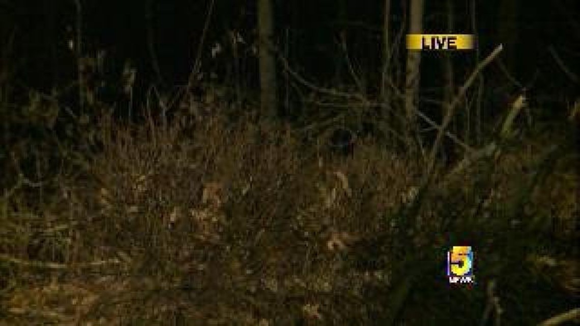 Burn Ban Issued For Benton County