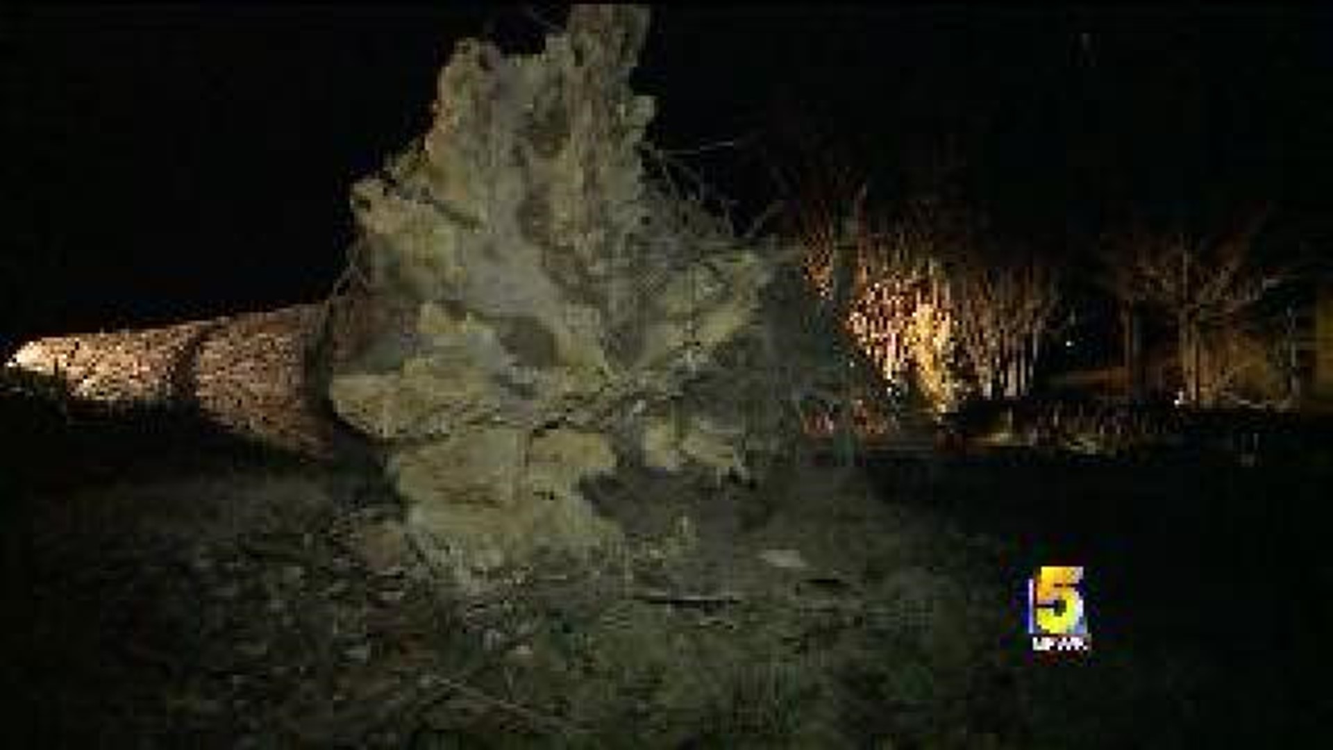 Fallen Trees Take Out Bella Vista Power