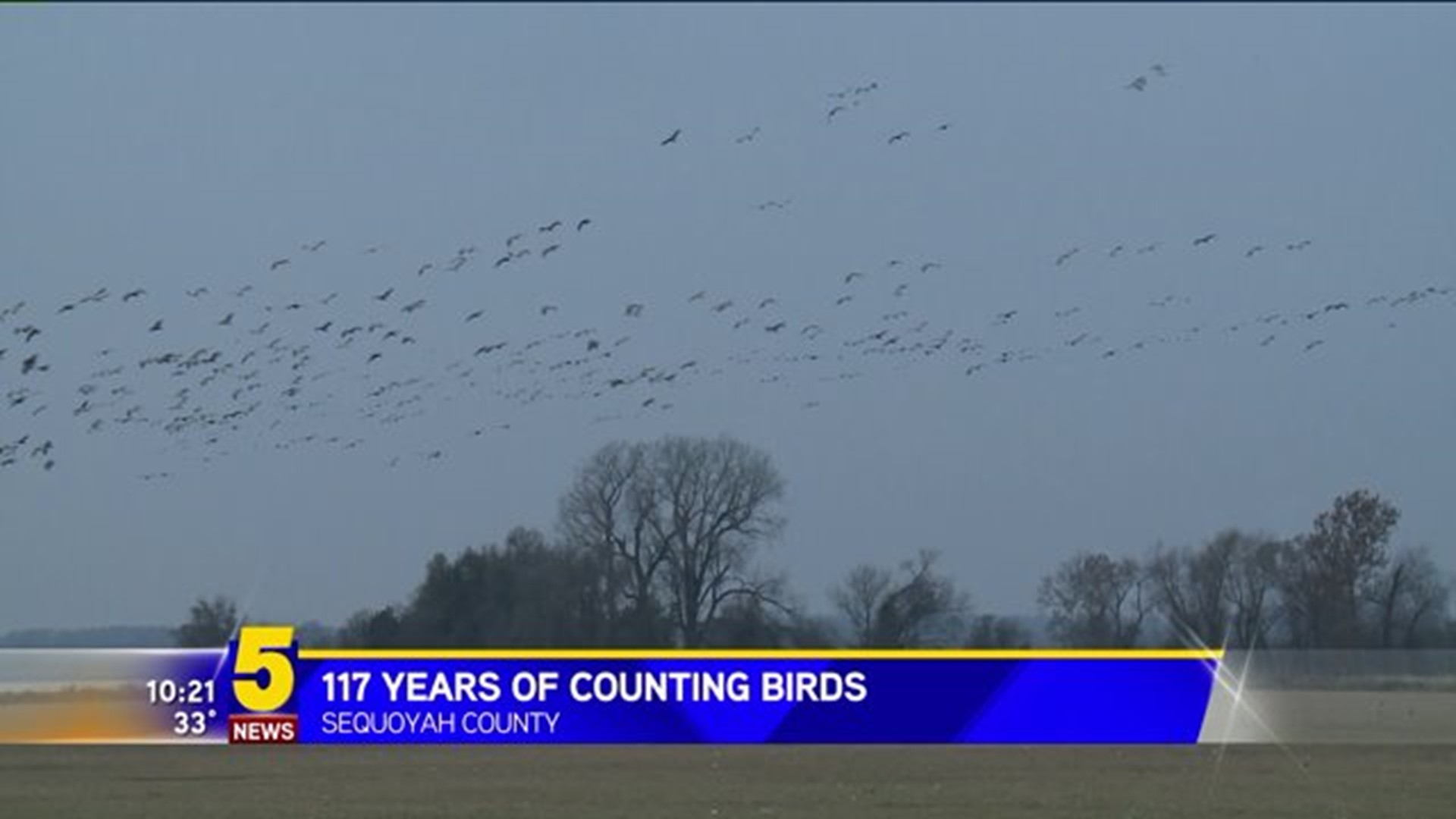 117 Years Of Counting Birds