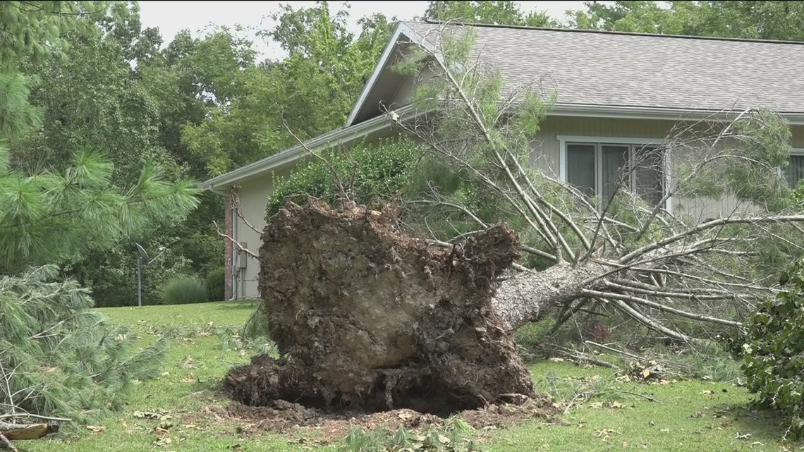 Bella Vista community recovering from the weekend's severe storms ...