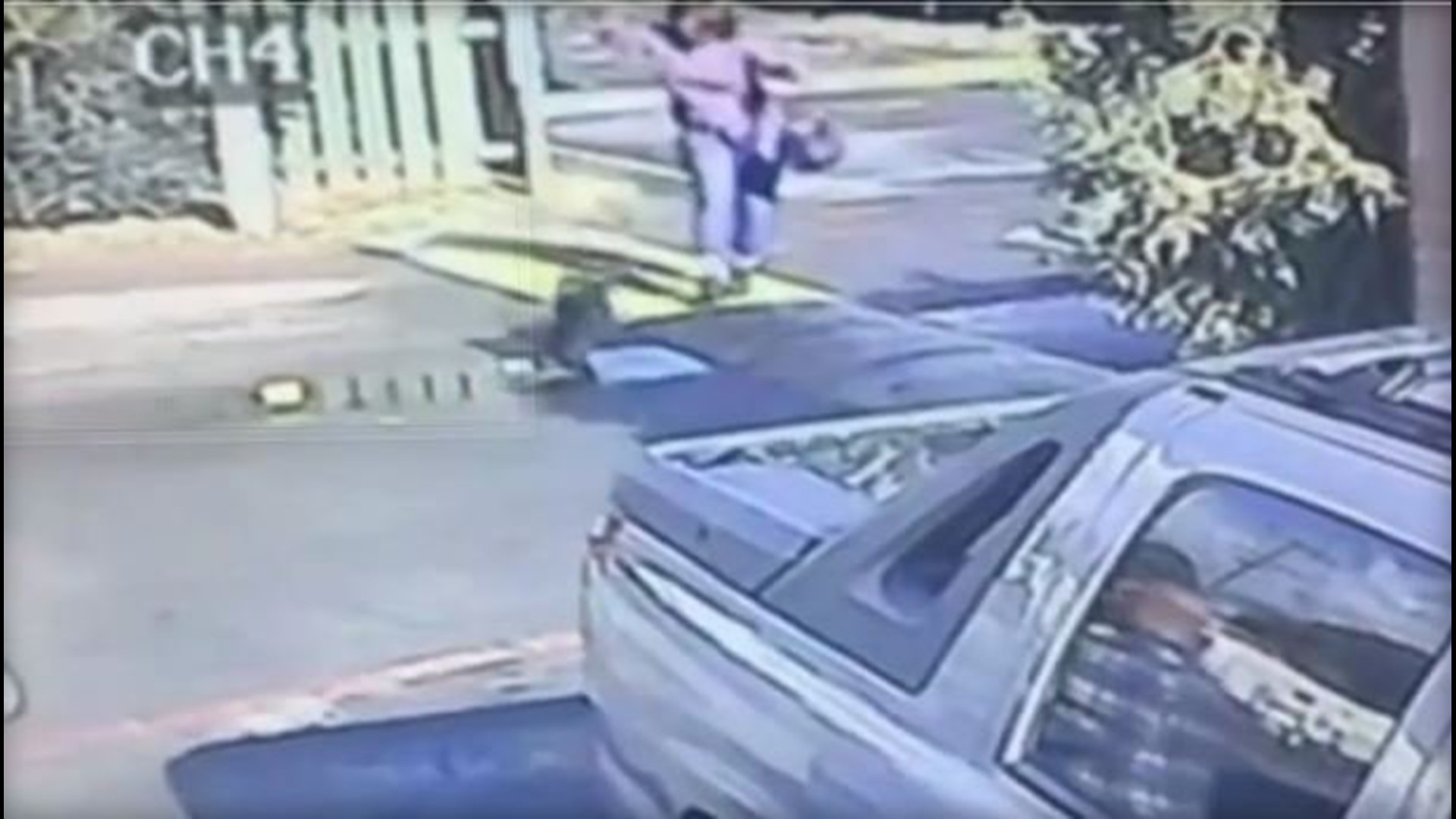 Authorities Search For Woman Caught On Surveillance Throwing Her Dog