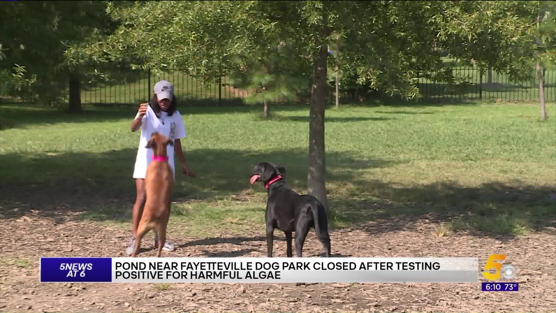 Pond Near Fayetteville Dog Park Closed Due To Harmful Algae