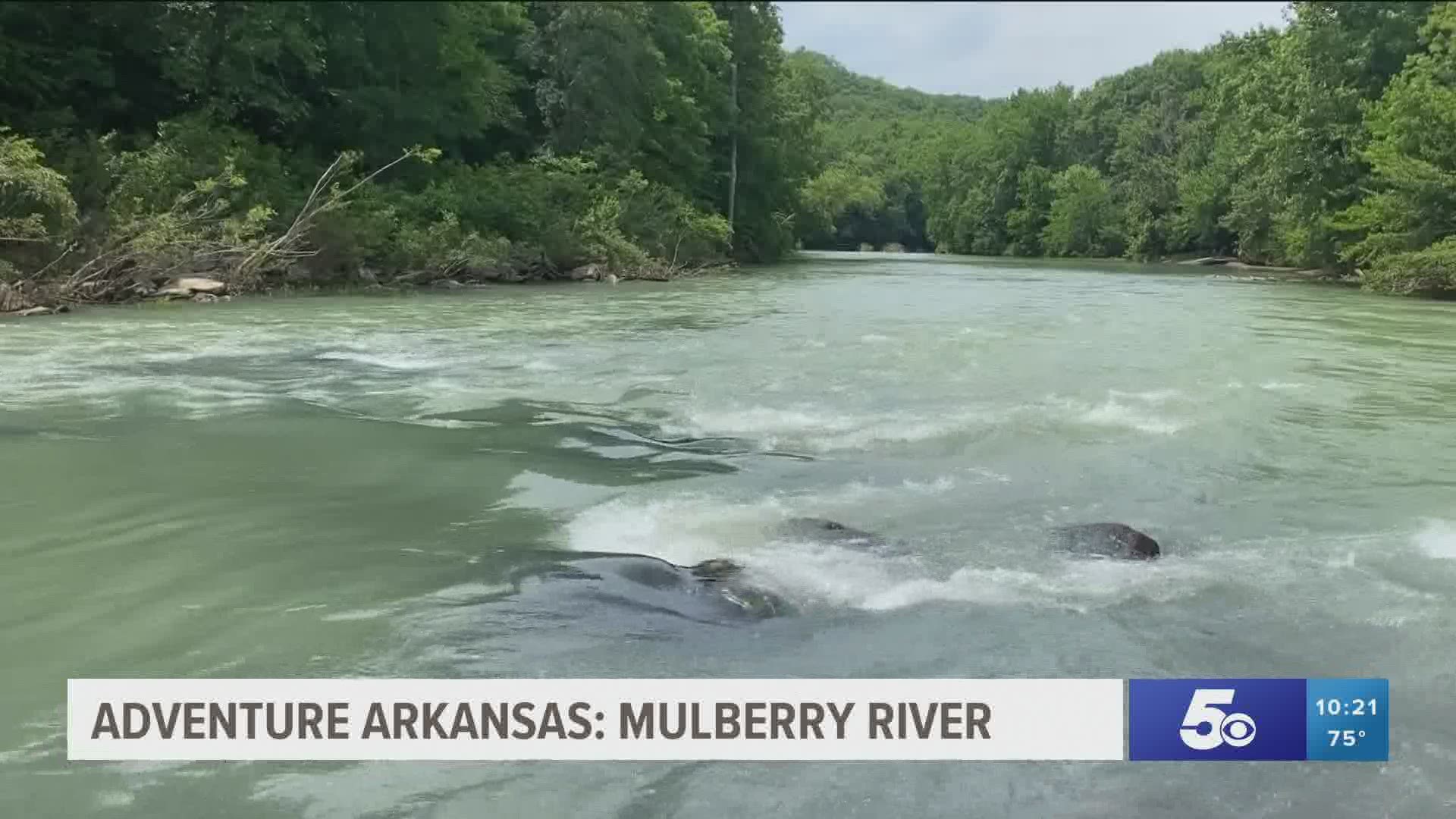 Adventure Arkansas: Mulberry River