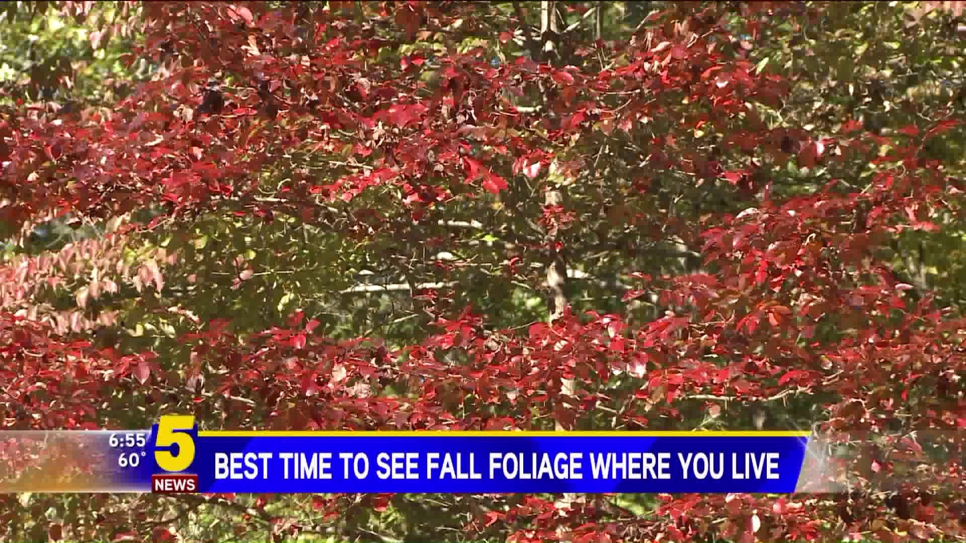 Best Time to See Fall Foliage