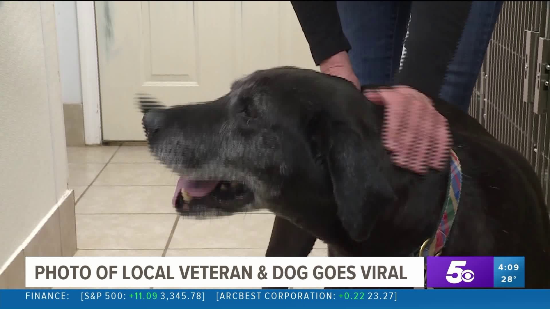 Local Community Helps Sick Veteran Care For Senior Dog