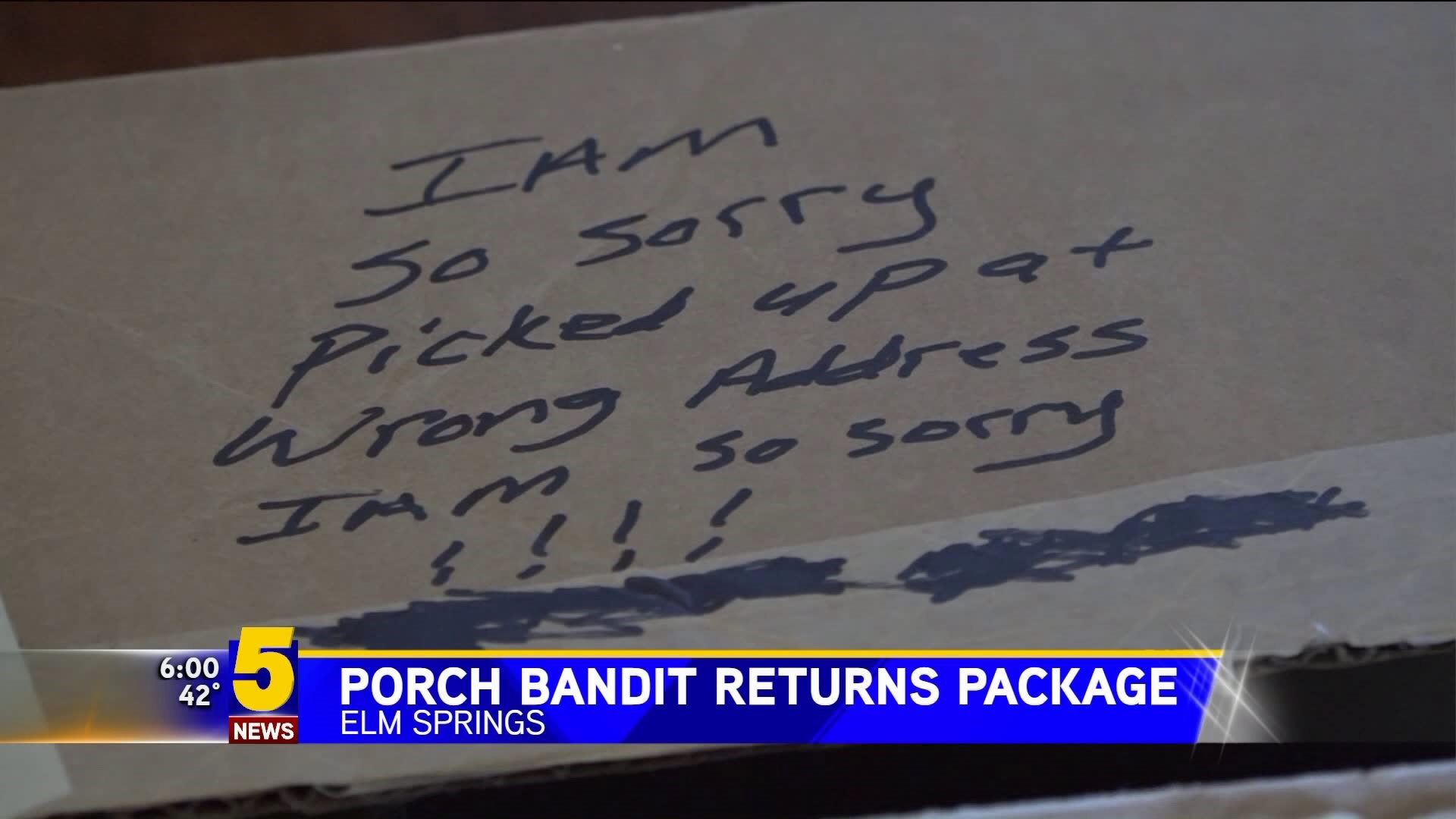 Porch Bandit Returns Package