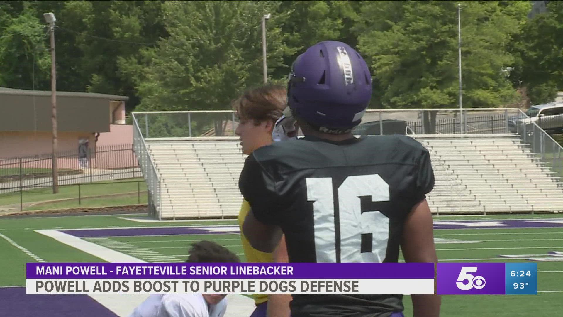 Football Friday Night preview: Fayetteville Purple Dogs