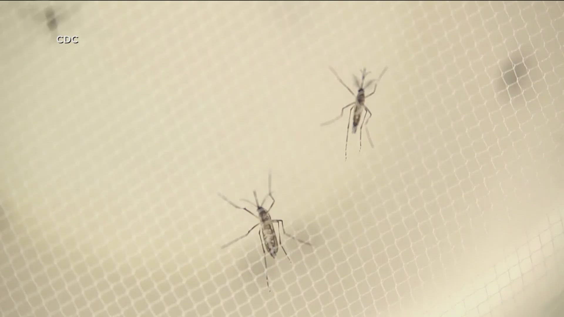 Experts say you can stay safe by using mosquito repellent.