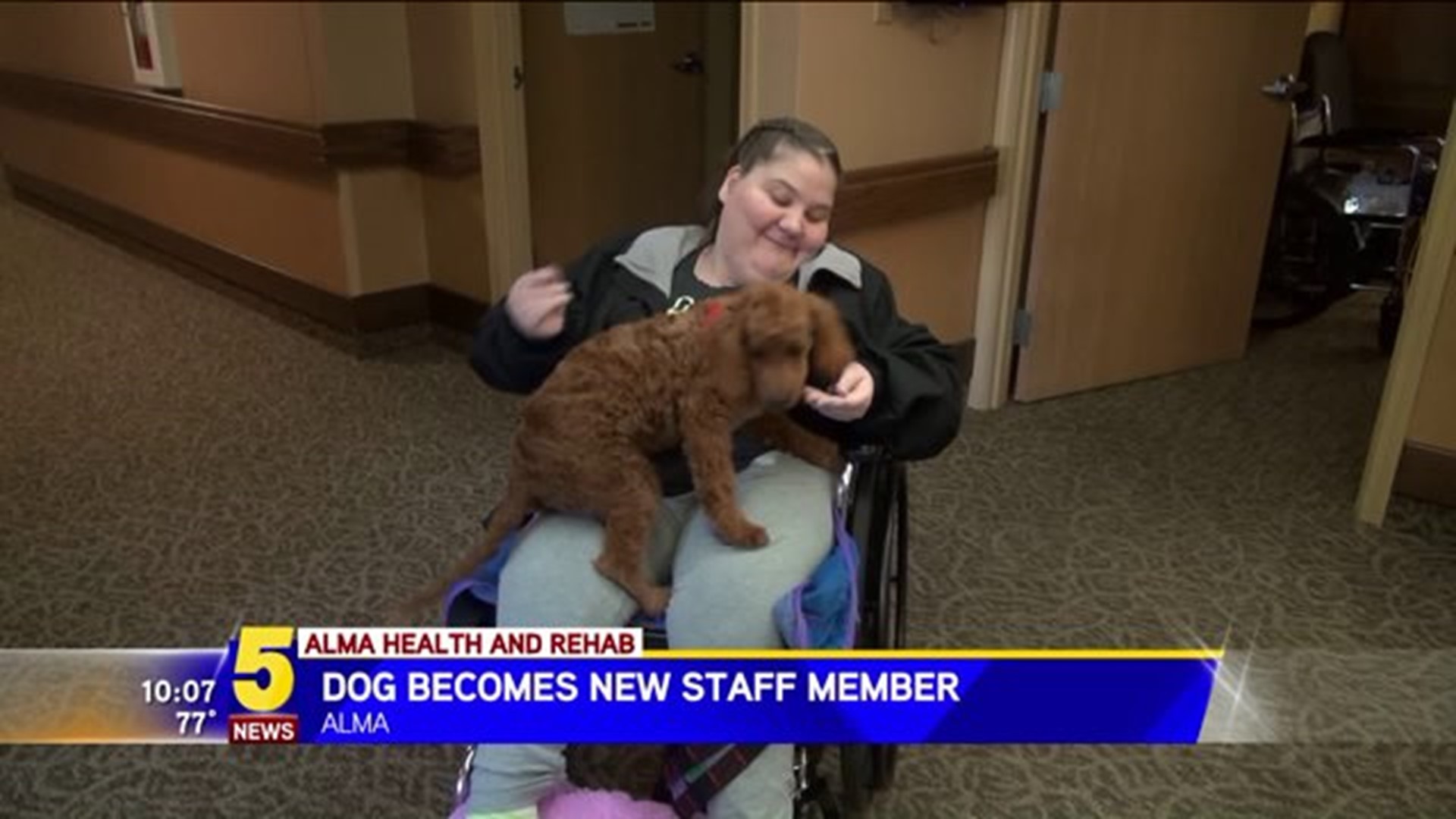 Dog Becomes New Staff Member
