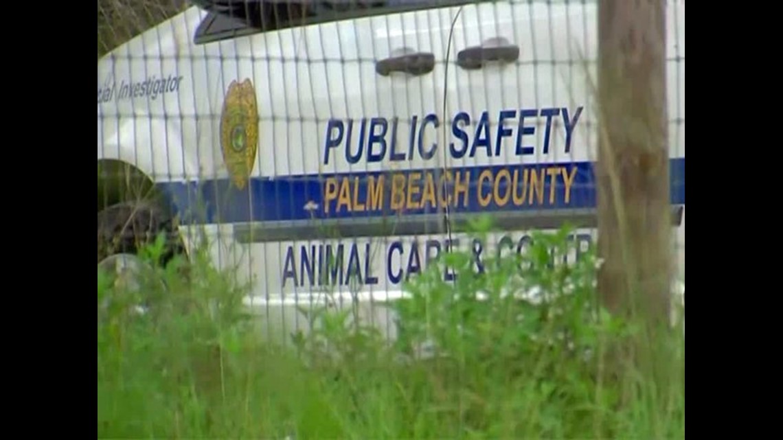 Three People Arrested In Connection With Illegal Slaughterhouse In