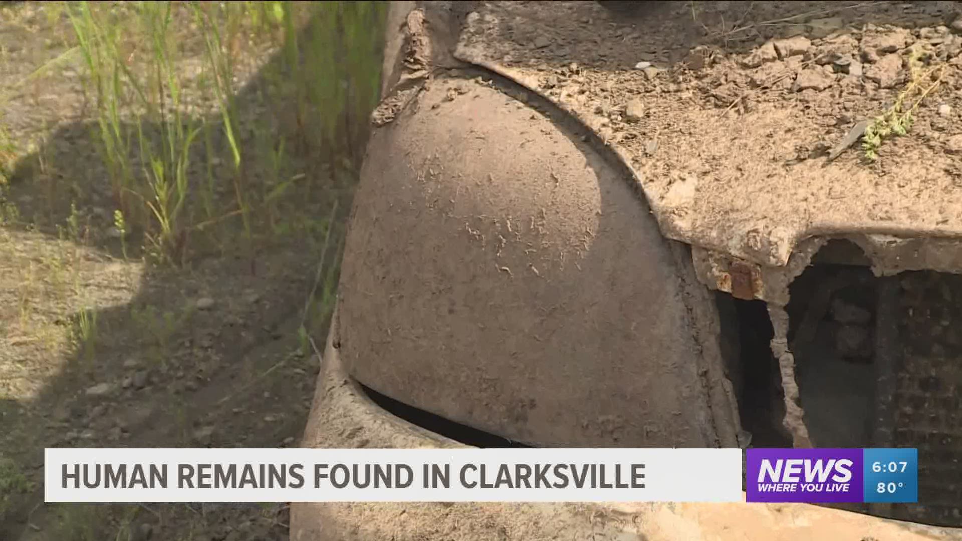 Human remains found in Clarksville