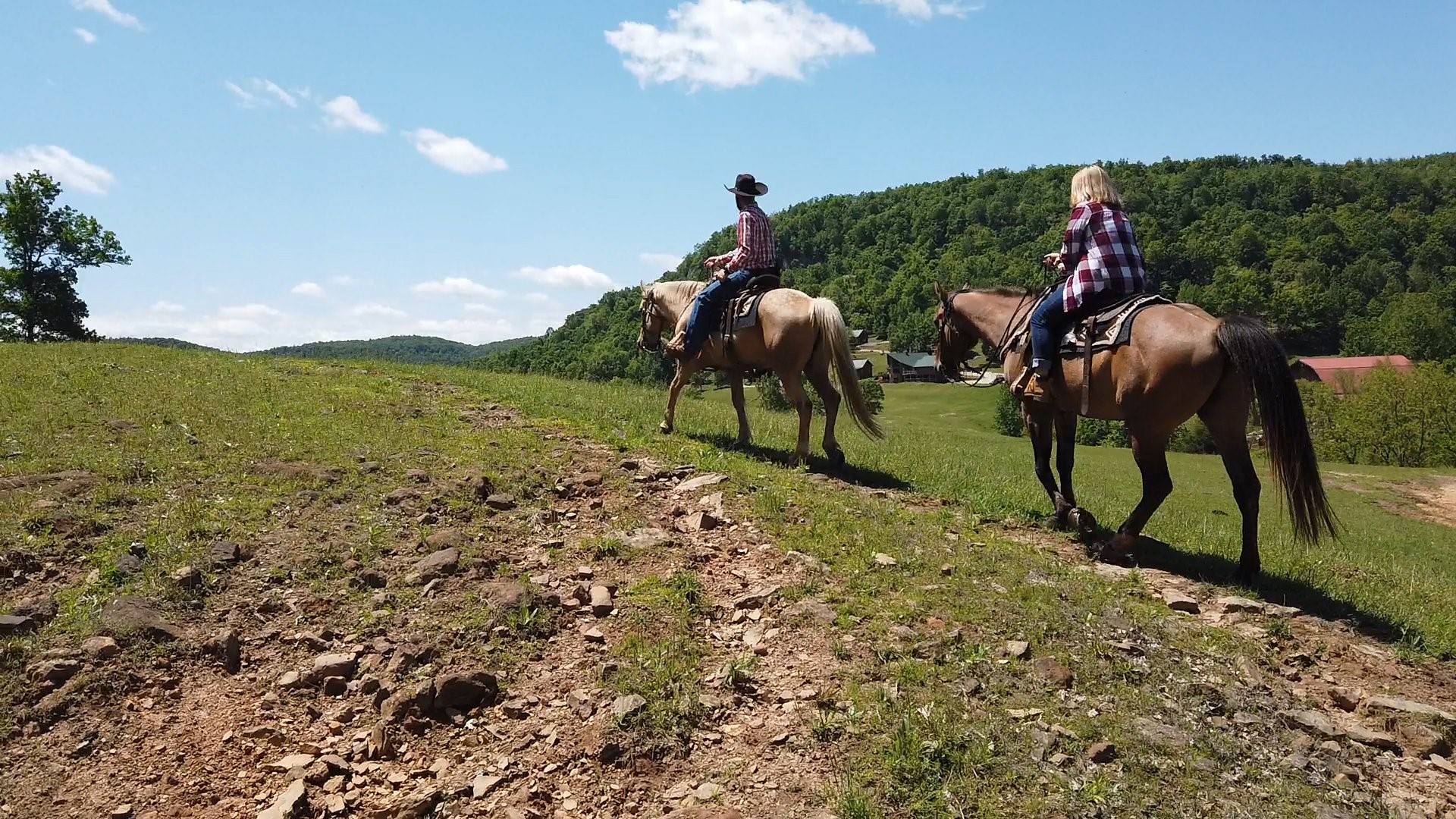 Adventure Arkansas Horseback Riding At Horseshoe Canyon Ranch