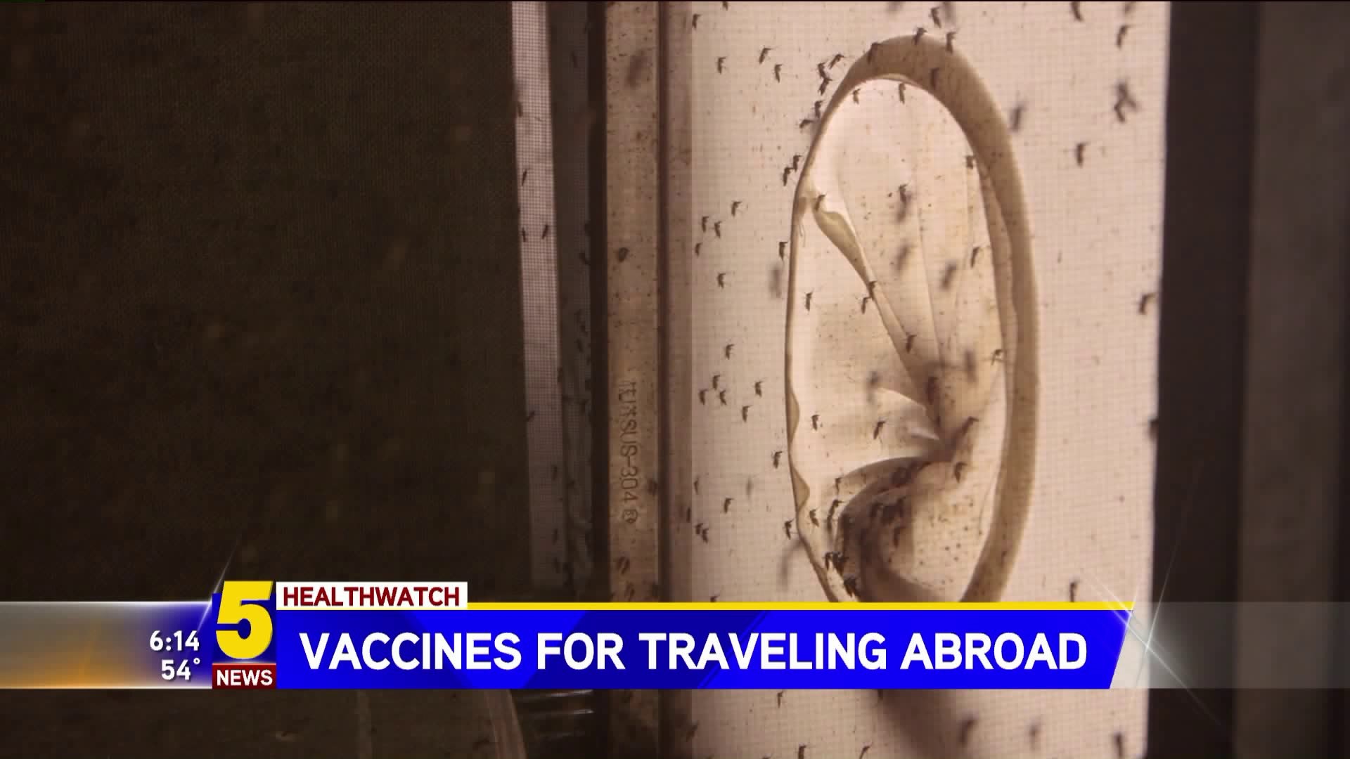 Vaccines For Traveling Abroad