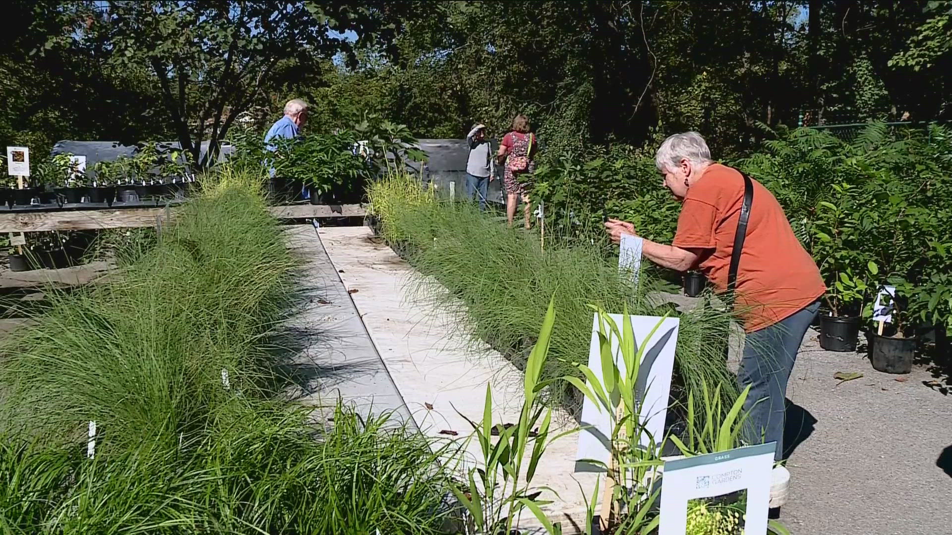 Shoppers can choose from over 56 different varieties of native trees and plants.