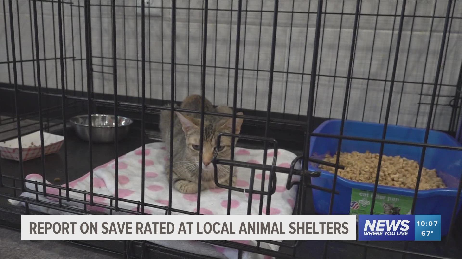 According to data, 15 of the 16 animal shelters in NWA are considered "no-kill," meaning animals aren't killed for lack of space.
