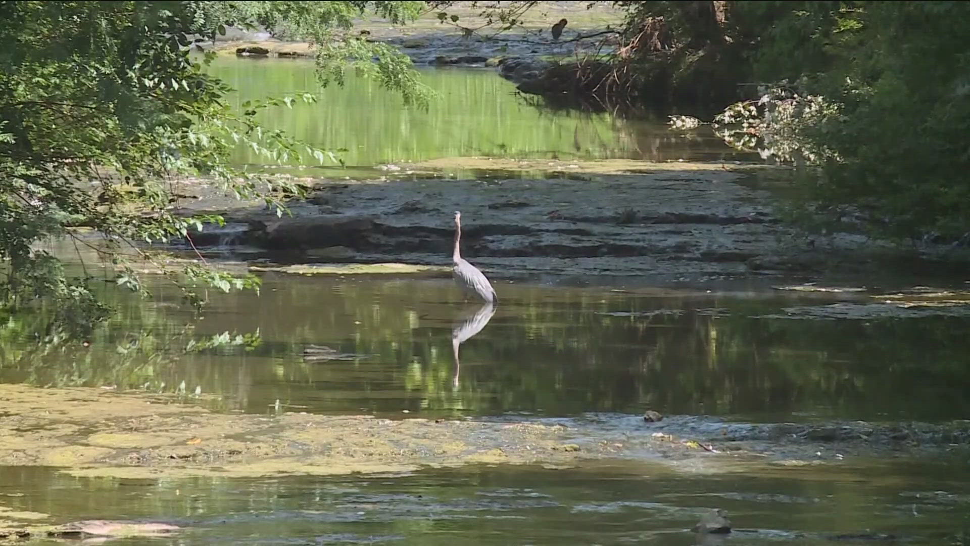 AGFC explains it's because the way the summer heat and dissolved oxygen in water work.