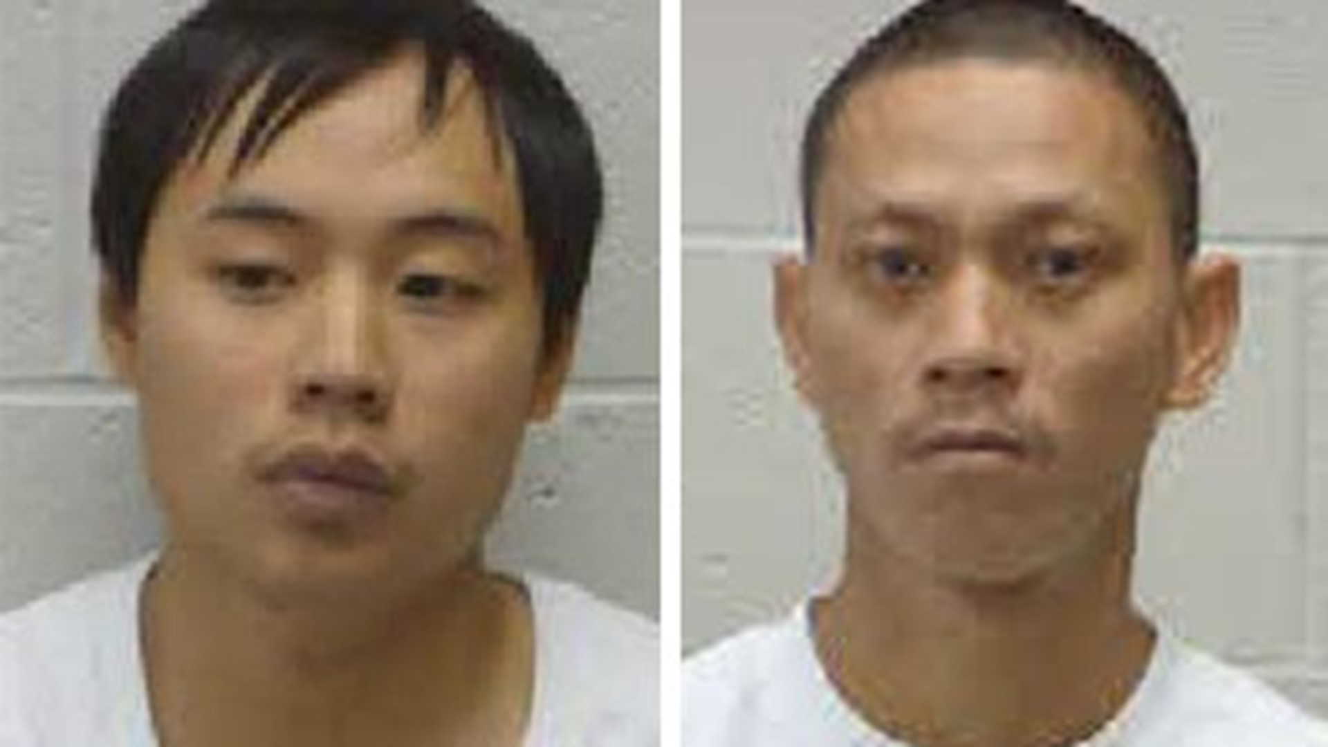 Two Arrested in Rogers Pot Bust | 5newsonline.com