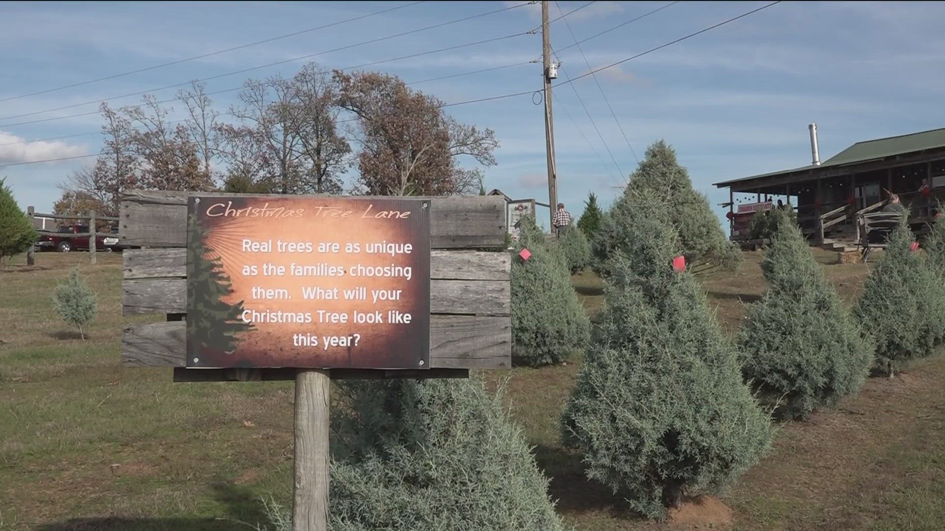 Jim and Karen Lane, the owners of Christmas Tree Lane in Ozark, are absent from the farm this year as Jim battles a rare disease in Minnesota.