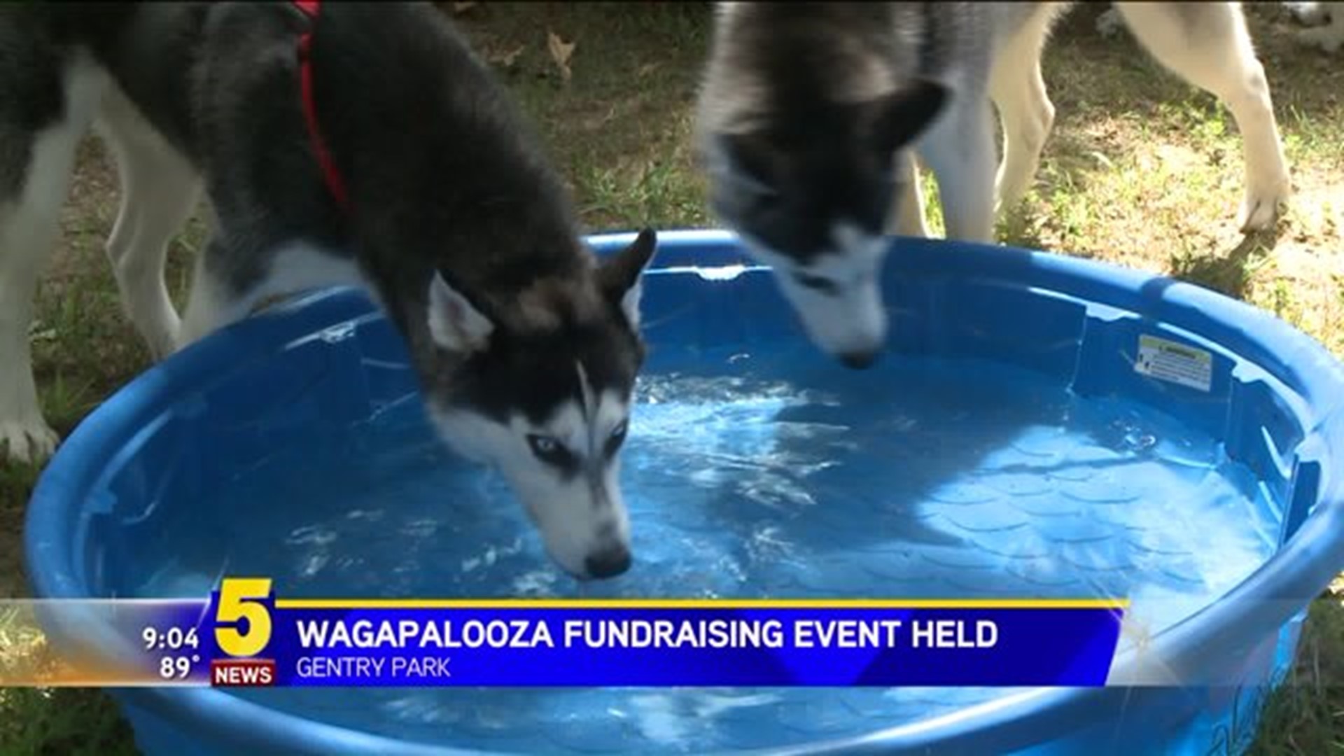Wagapalooza Fundraising Event