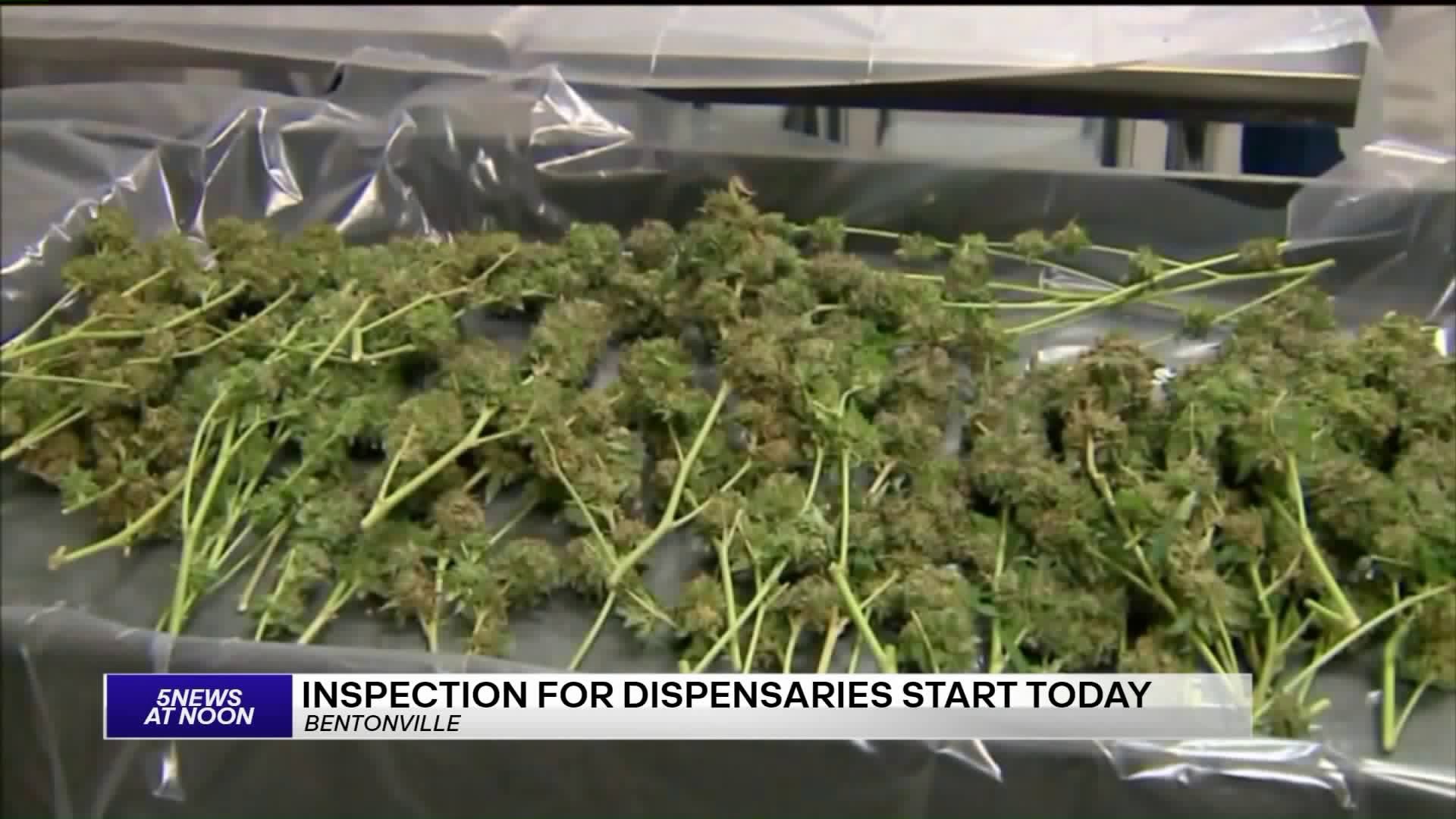 Inspections for Dispensaries Today