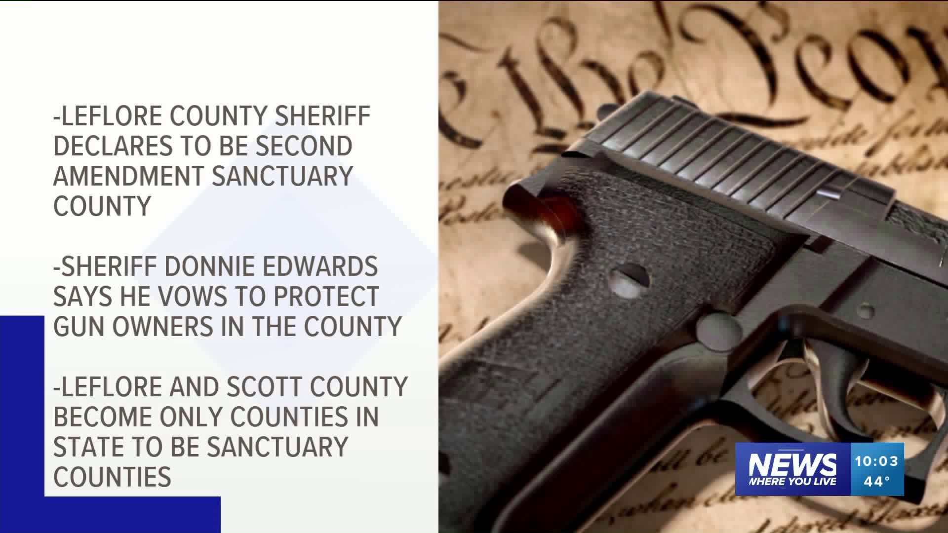 Sheriff Declares LeFlore County A `Second Amendment Sanctuary County`
