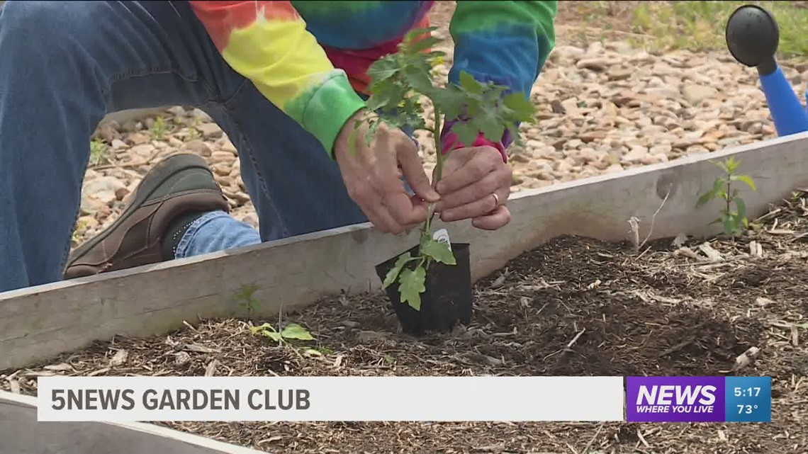 5NEWS Garden Club: Planting Tomatoes