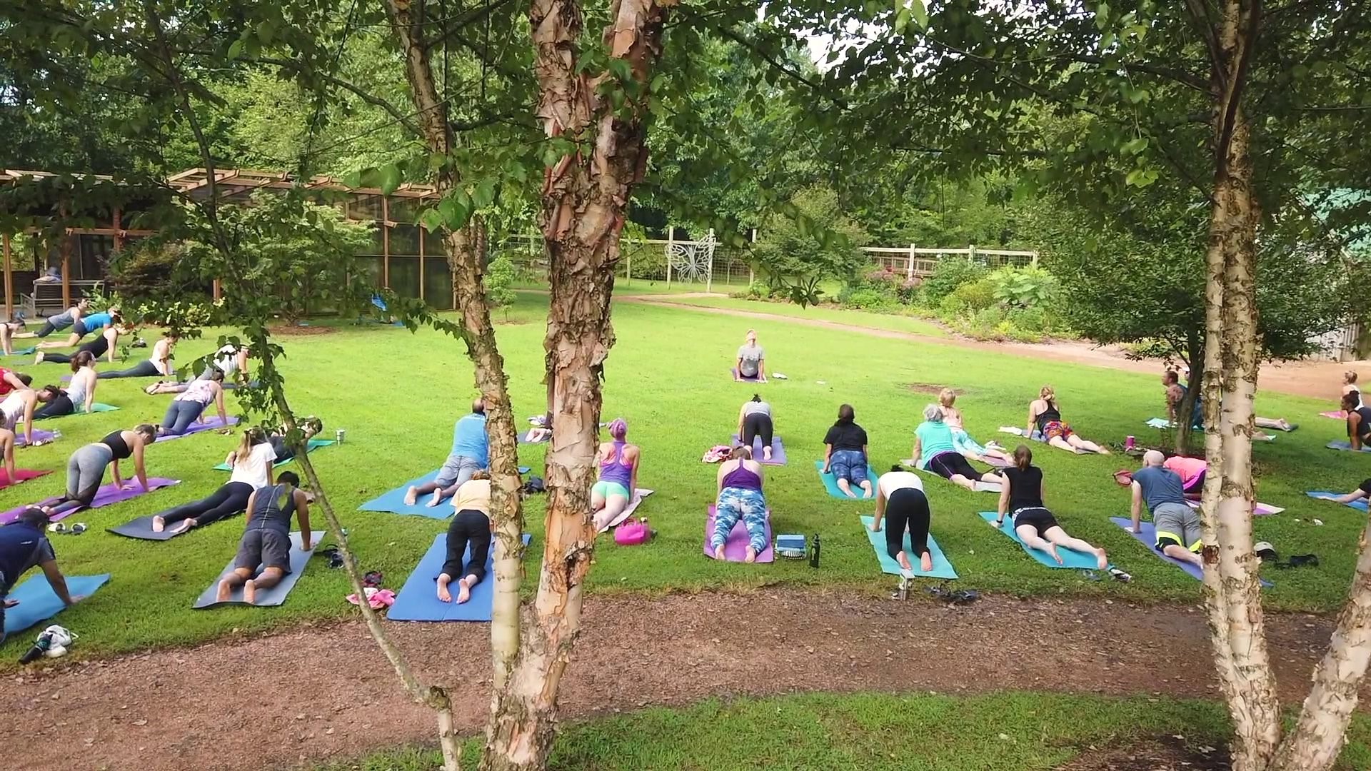 Adventure Arkansas Yoga Botanical Garden Aug 2019