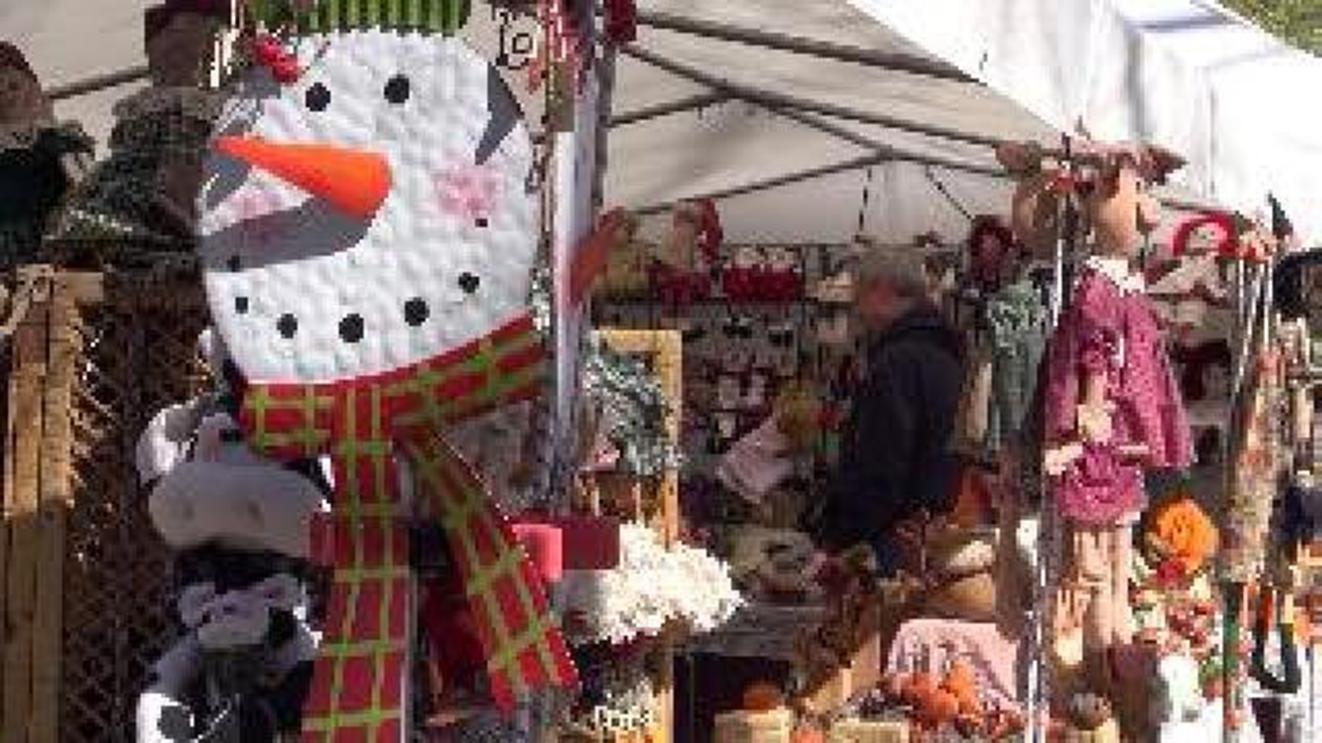 Thousands Explore Sights and Sounds at War Eagle Craft Shows