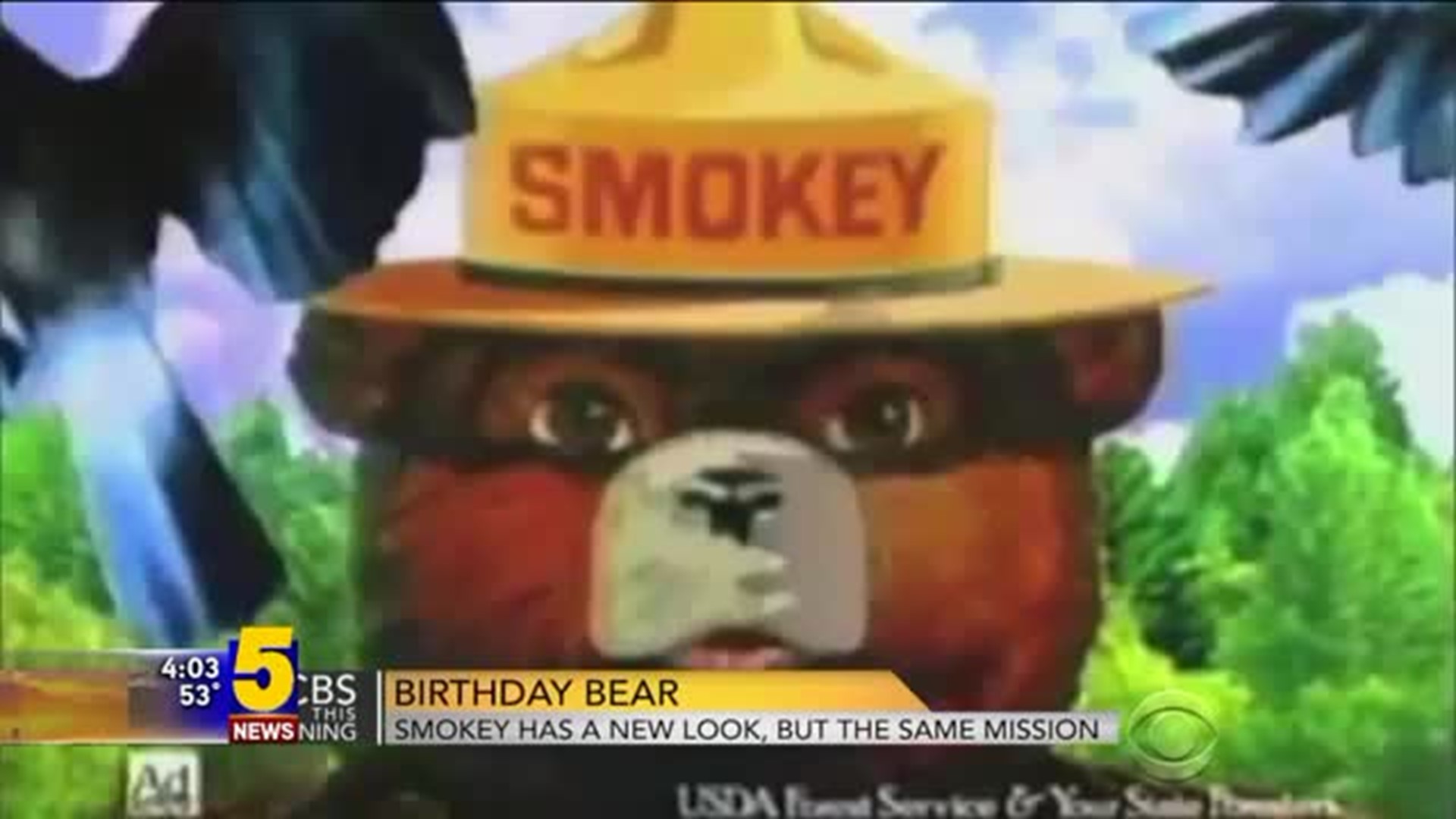 Smokey Bear 75th Birthday Contest