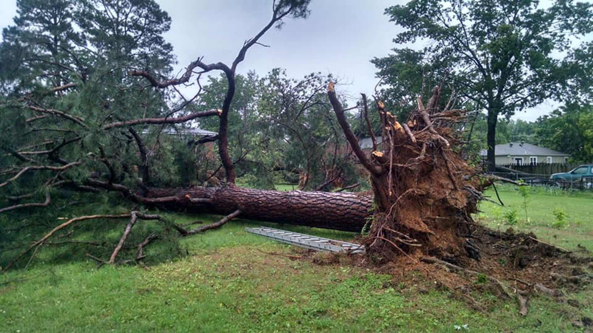 WATCH: Video Captures Family Sheltering As Tornado Hits Just Yards Away ...