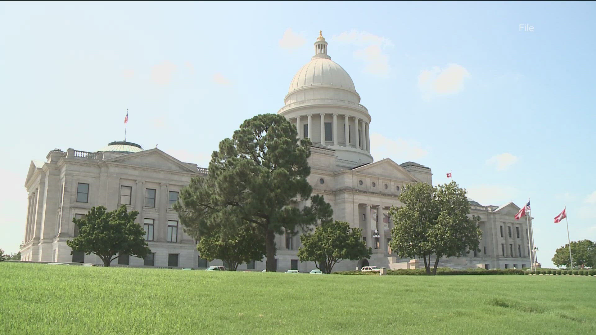 The recent fatal school shooting in Georgia has lawmakers and community members discussing whether gun laws should be stricter or less severe.